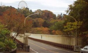 宮城県仙台市の八木山橋